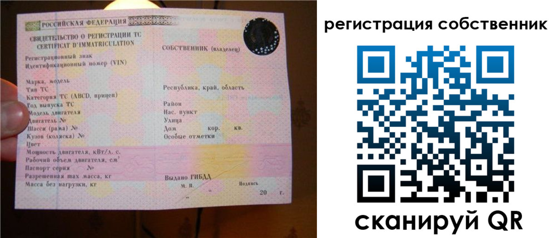 прописка иностранных граждан в Светлогорске